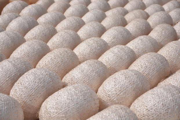 Hình ảnh công ty Nature Craft Vietnam